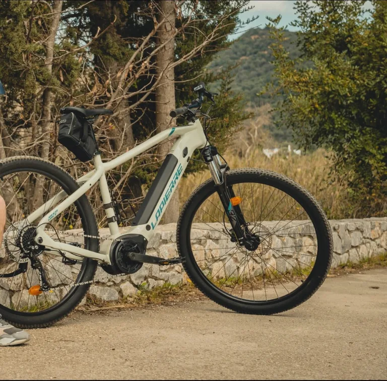 LAPIERRE OVERVOLT 5.4 (LARGE)